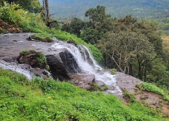 Land for Sale Near Munnar, Idukki