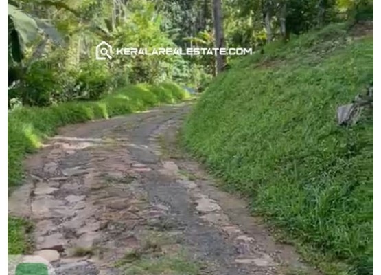 Farmland for Sale in Upputhara, Idukki