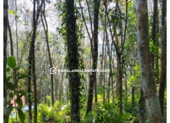 Land for Sale in Cherukulanji, Ranni, Pathanamthitta