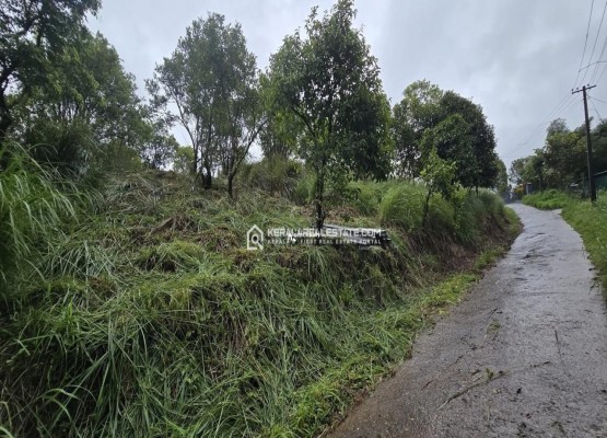 Land Suitable for Resort/ Homestay for Sale in Korome, Wayanad
