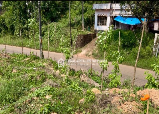 Premium Plot for Sale in Mattannur, Kannur