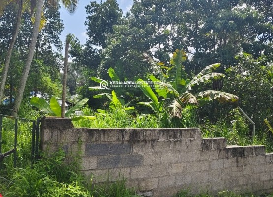 Land for Sale in Karyavattom, Trivandrum