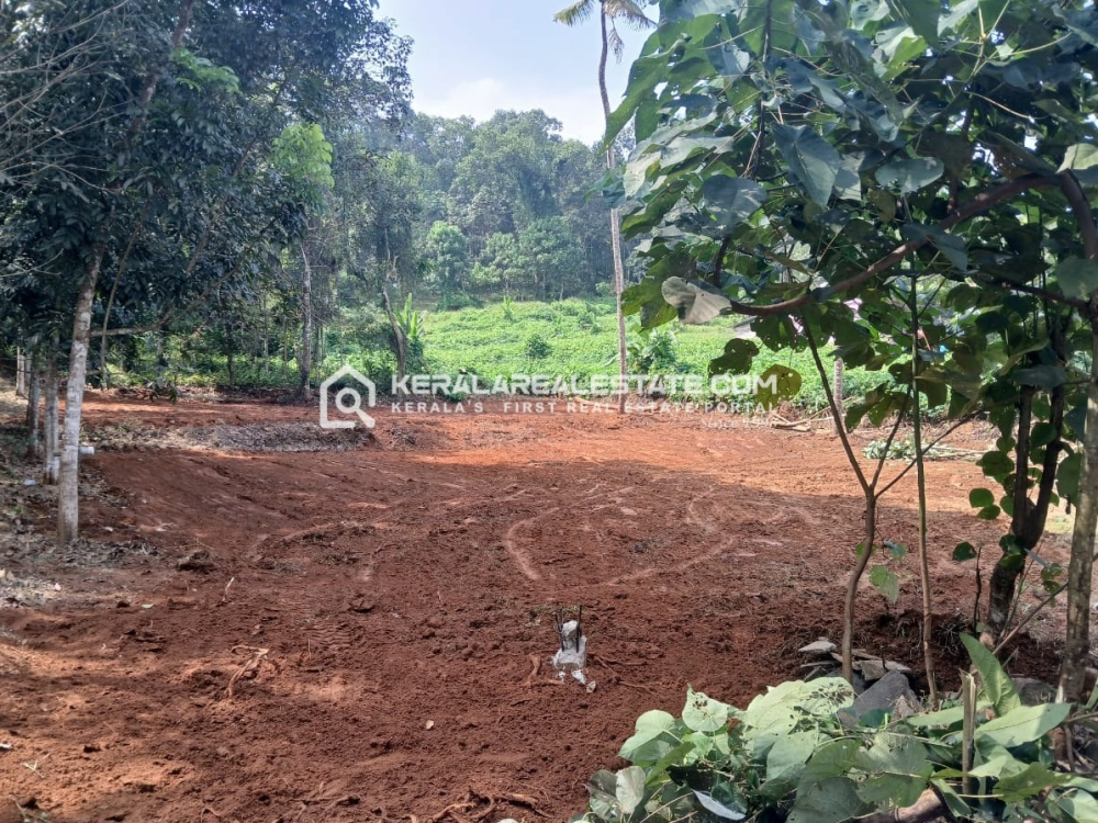 Prime Land for Sale in Marangattupilly, Kottayam 