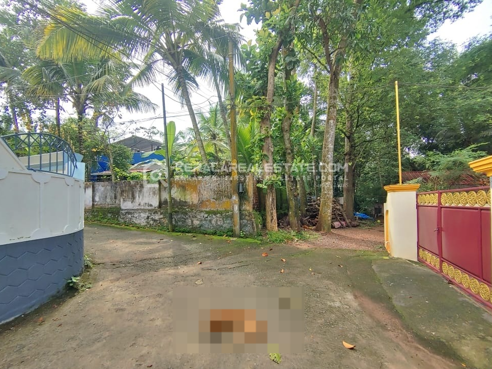 Land for Sale in Vattiyoorkavu, Trivandrum 