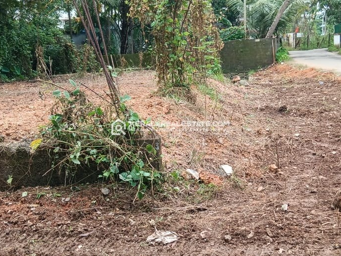Prime Land for Sale in Thuravoor, Near Cherthala, Alappuzha 