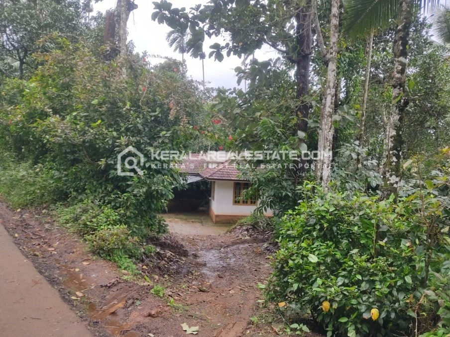 Land with House for Sale in Nellarachal, Ambalavayal, Wayanad
