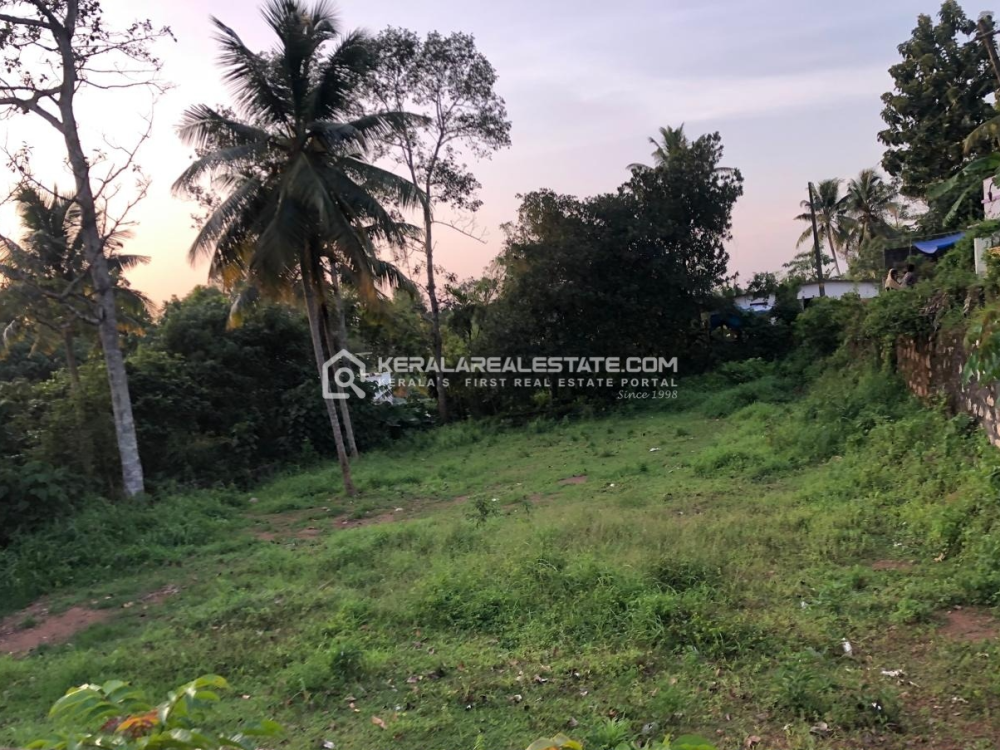 Prime Land for Sale in Ulloorkonam, Thiruvananthapuram