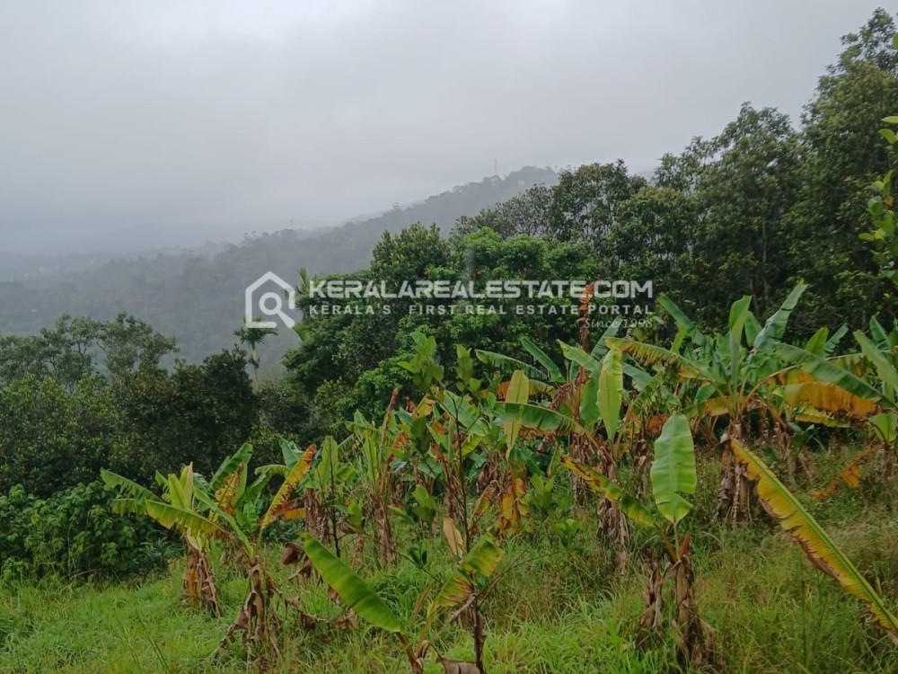Scenic Land for Sale in Rajakumari, Idukki 