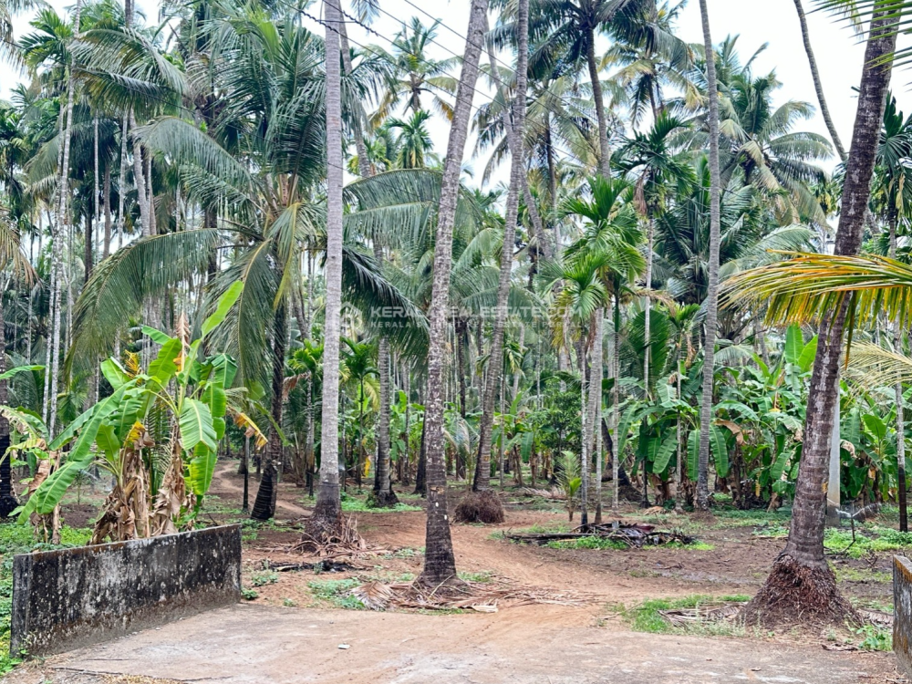 Land for Sale in Vadanappilly, Thrissur