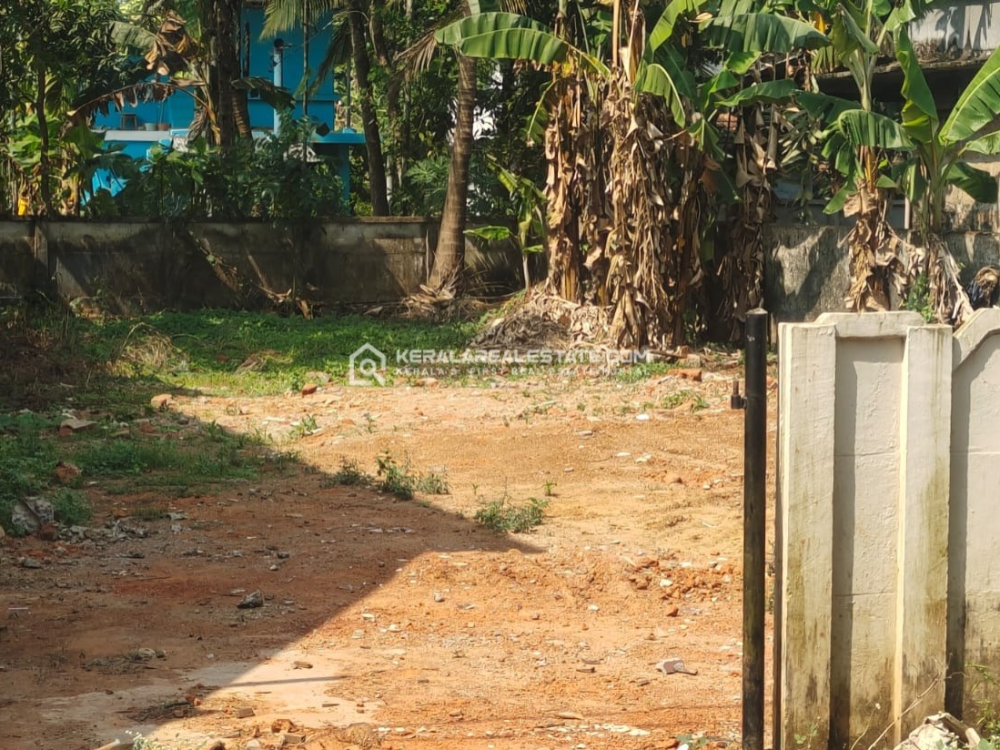 Prime Land for Sale in Kainoor, Thrissur 