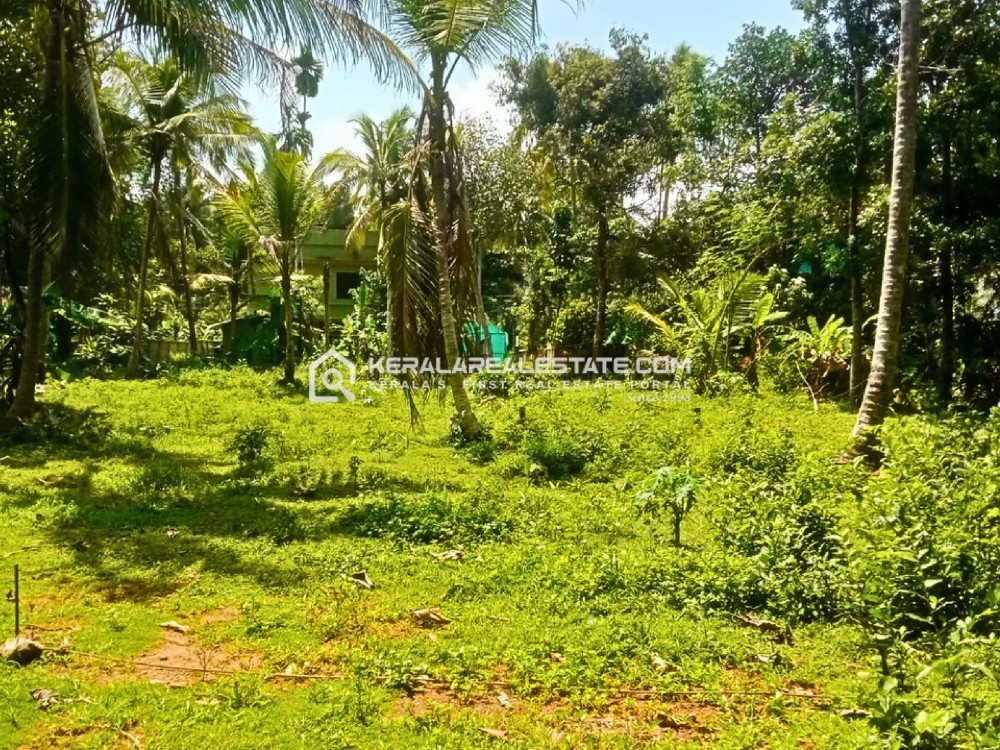 Residential Land for Sale in Vaikom, Kottayam