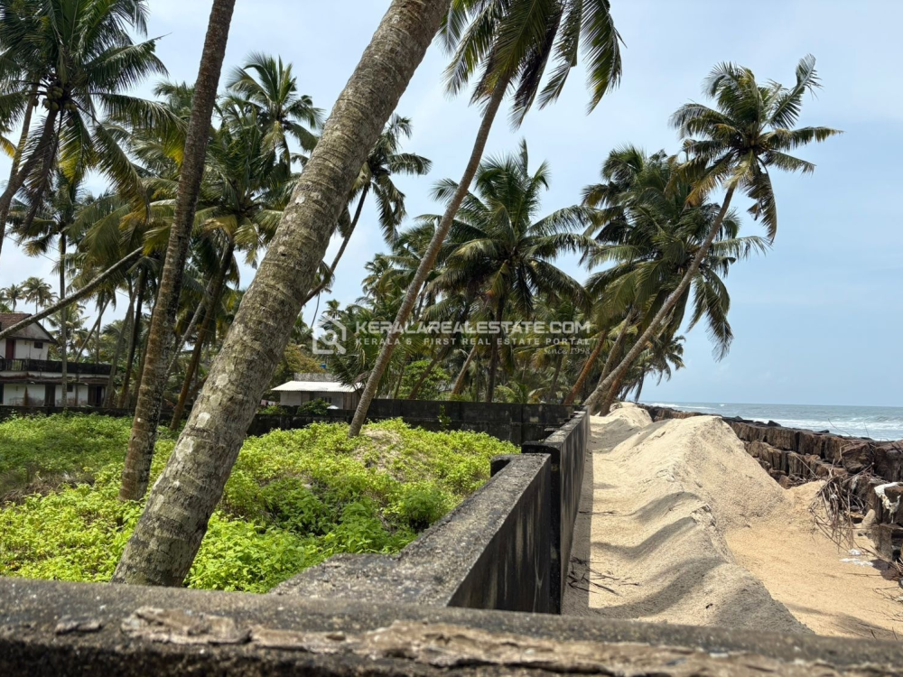 Seaview Land for Sale in Cherthala, Alappuzha