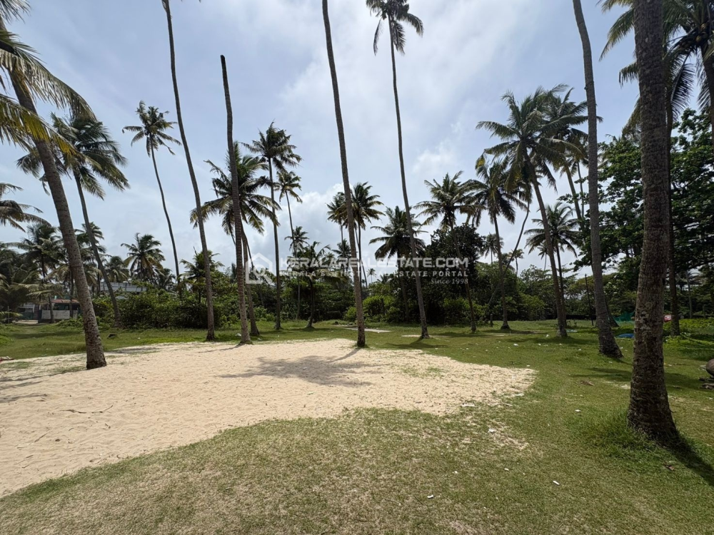 Seaview Land for Sale in Cherthala, Alappuzha