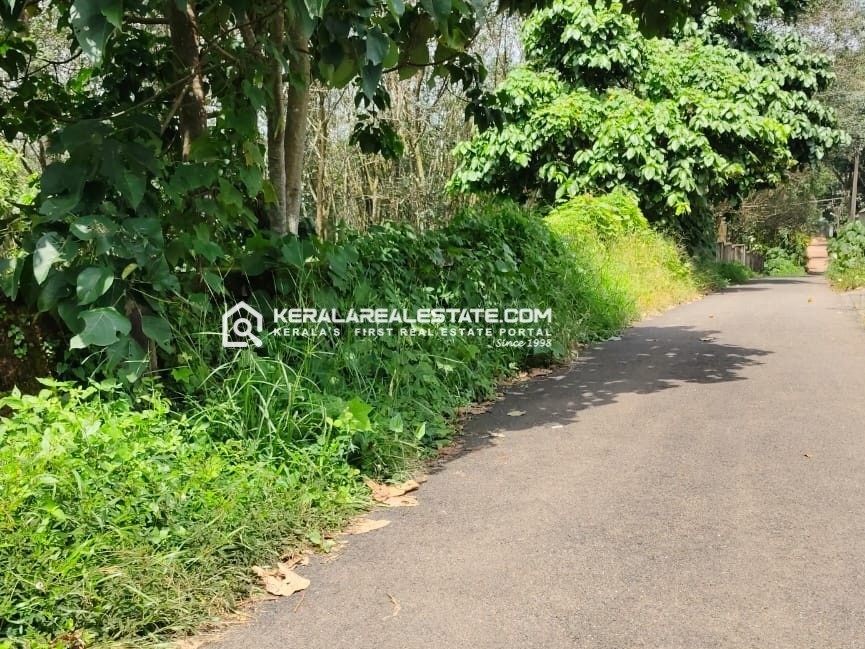 Land for Sale in Vadavucode, Ernakulam 
