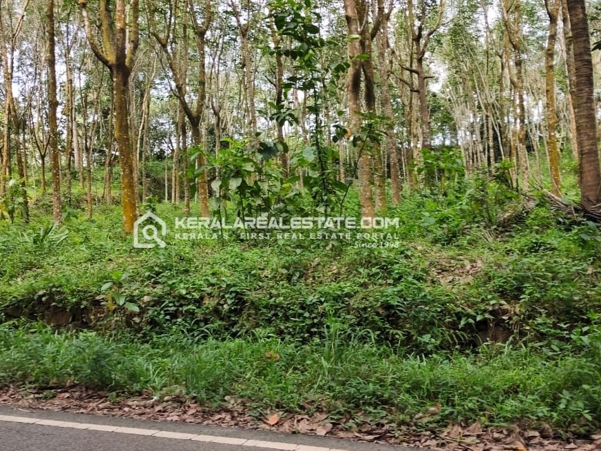 Land for Sale in Kolencherry, Ernakulam 
