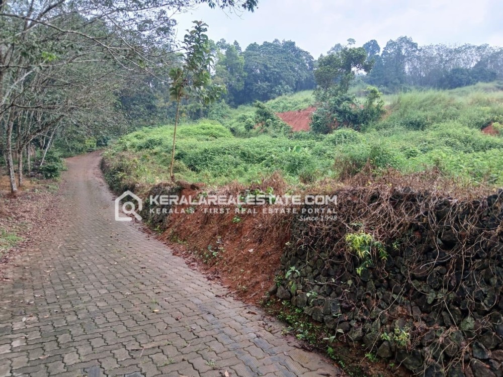 Commercial Land for Sale in Kizhakkambalam, Ernakulam 