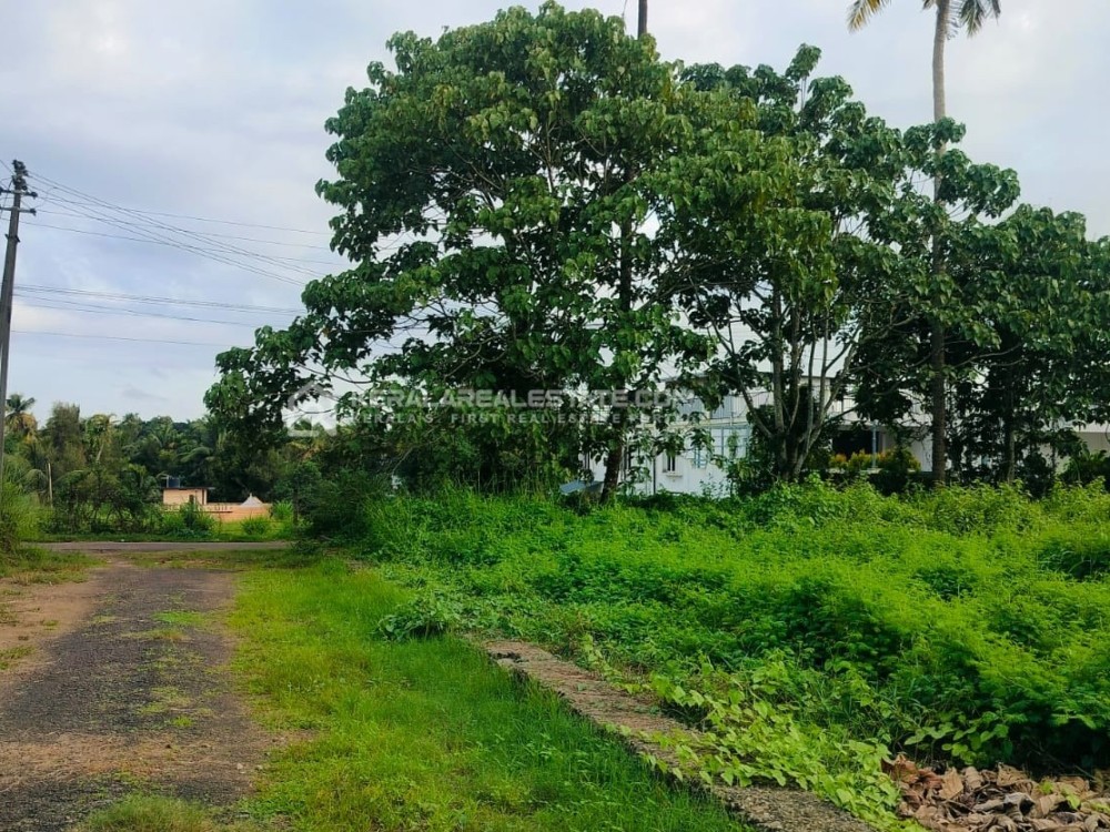 Residential Plots for Sale in Angamaly, Ernakulam 