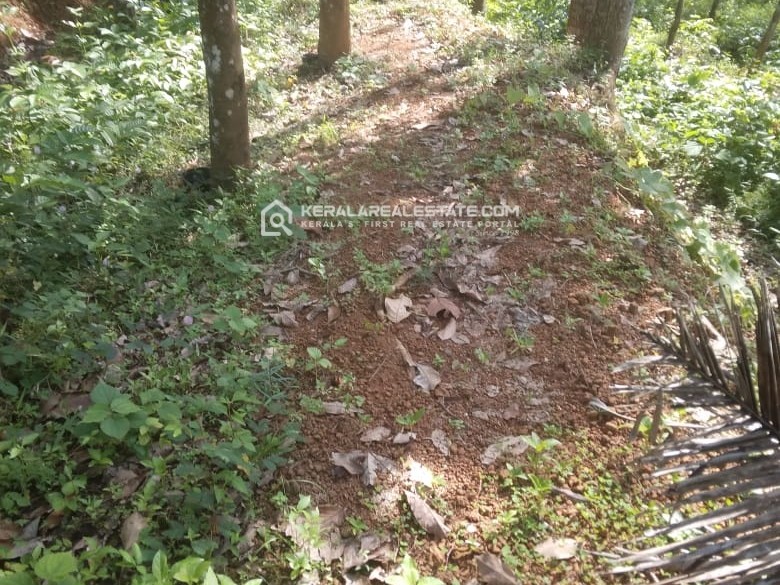 Prime Residential Lands for Sale in Inchakkadu Junction, Kottarakkara, Kollam 