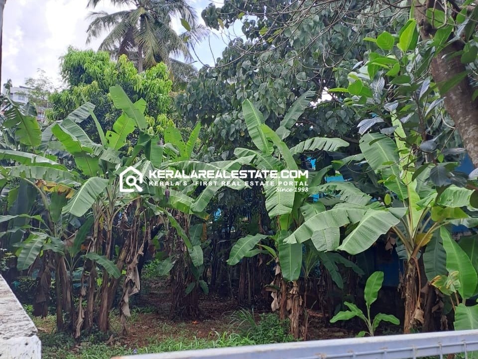 Residential Land for Sale in Ayyanthole, Thrissur 