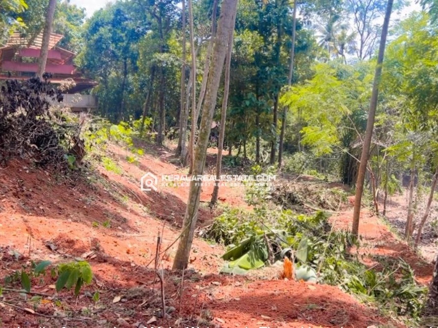 1.15 Acres Premium Land for sale near Varkala, Trivandrum