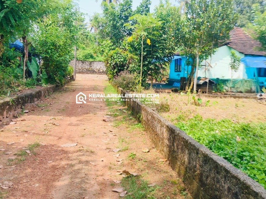 Land for Sale in Poikkattussery, Athani, Ernakulam 