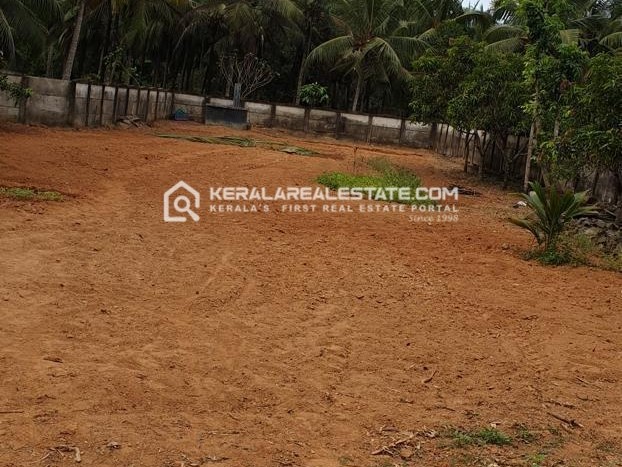 Prime Land for Sale in Chowalloorpadi, Guruvayur, Thrissur