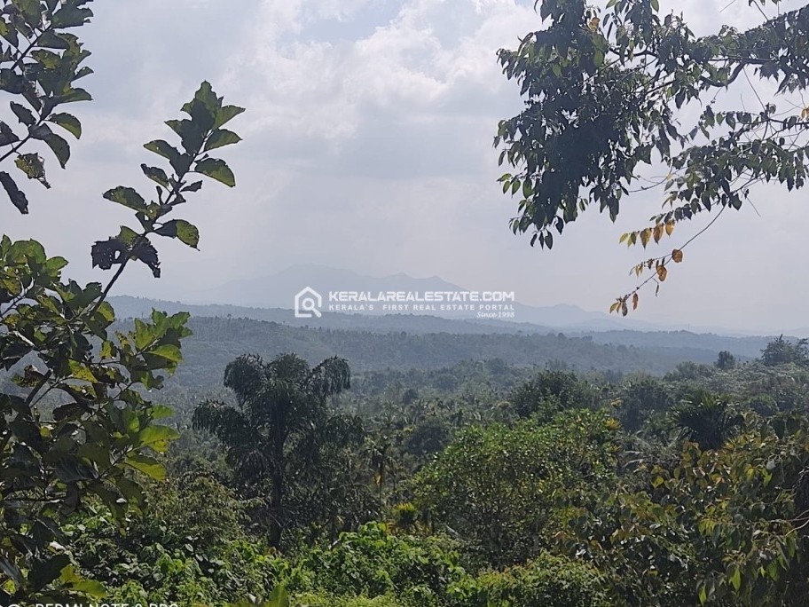 Resort Land for Sale in Irulam, Wayanad