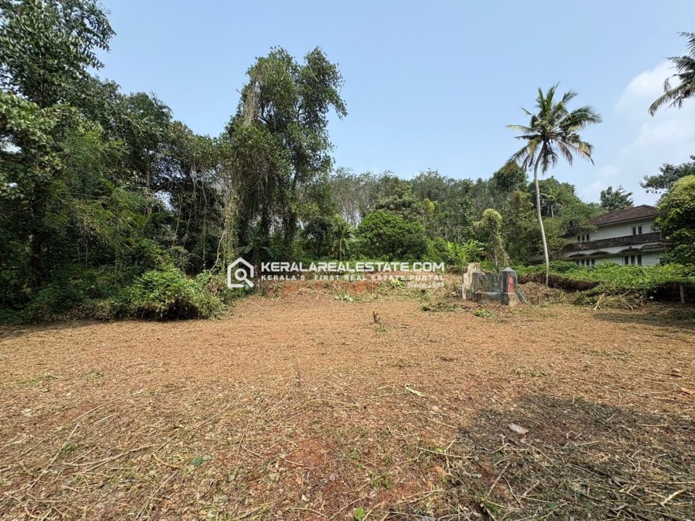 Prime Residential Land for Sale in Puthupally, Kottayam 