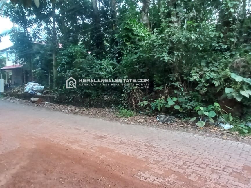 Land for Sale in Puthenkurishu, Ernakulam 