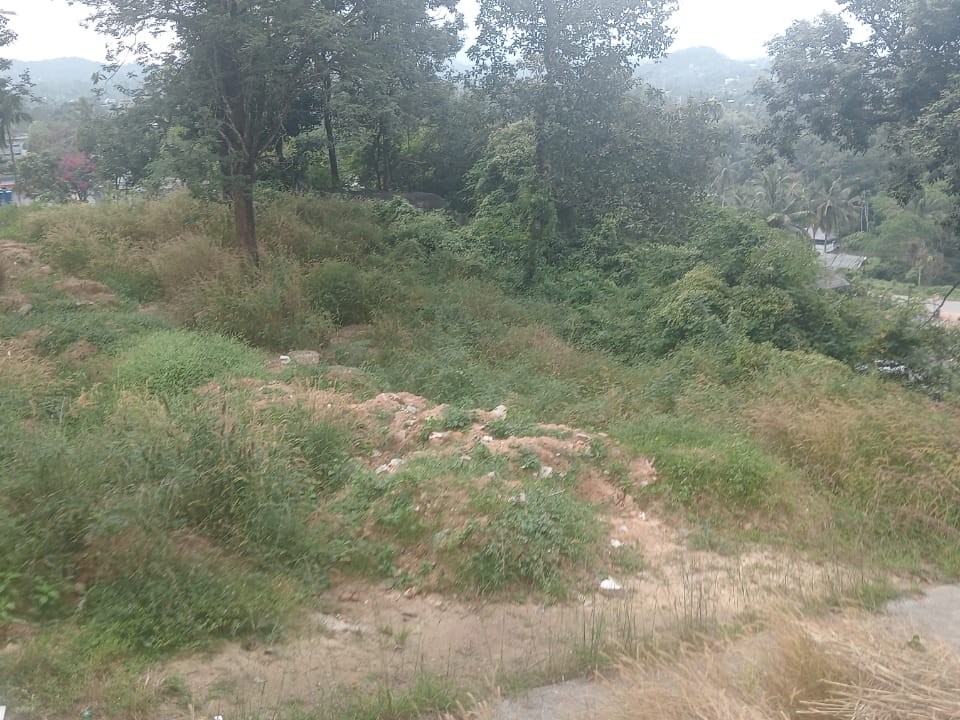 Land for Sale Near Myladipara View Point, Kalpetta, Wayanad