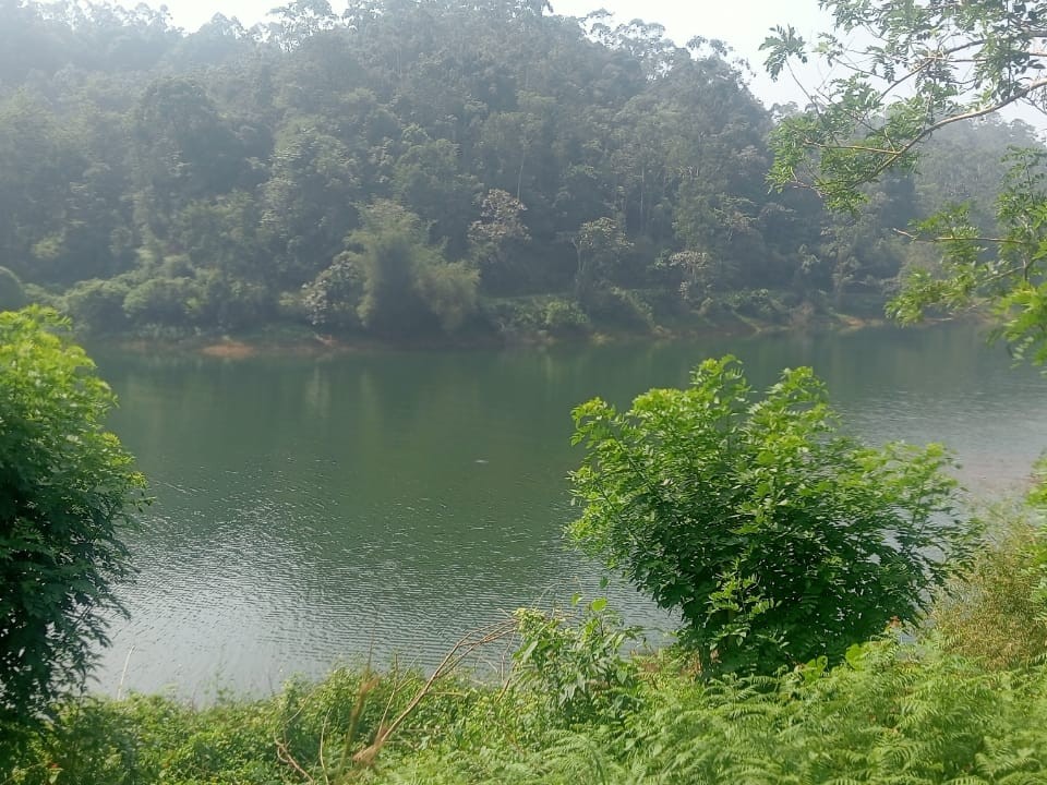 Land for Sale Near Banasura Sagar Dam, Padinjarathara, Wayanad