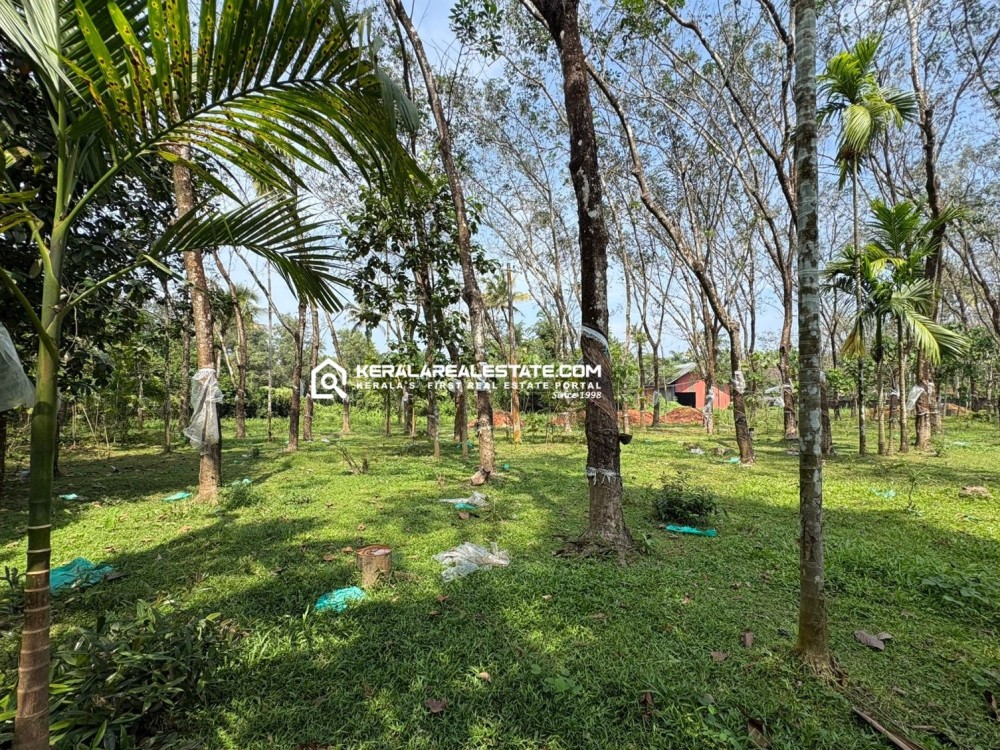 Land for Sale in Angamaly, Ernakulam 