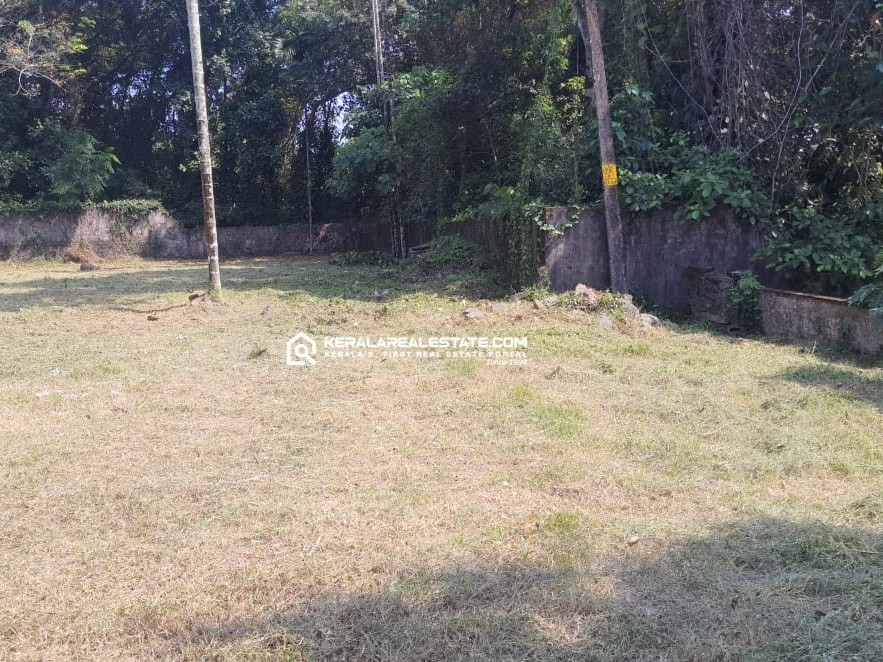 Land for Sale Near Seaport - Airport Road, Ernakulam 