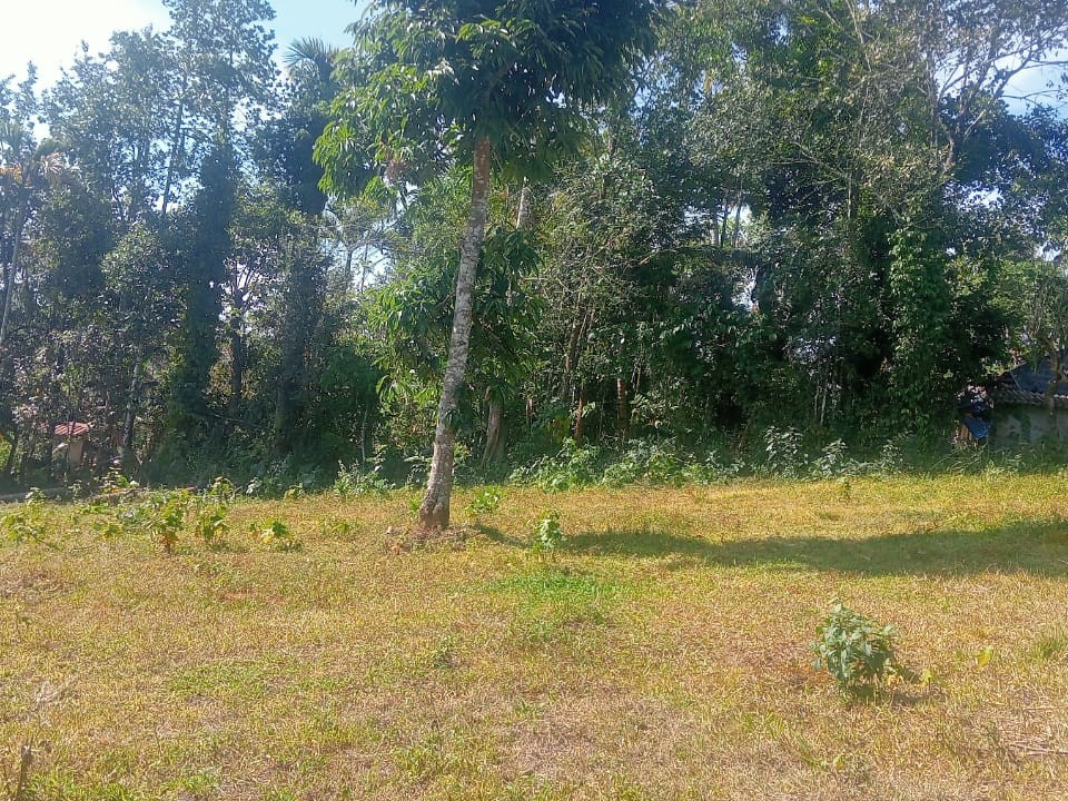 Land for Sale in Meenangadi, Wayanad 