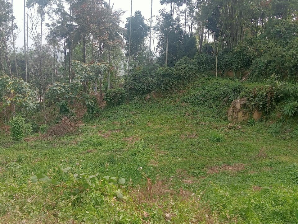 Plot for Sale in Muttil, Wayanad