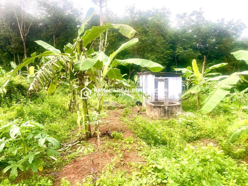 Prime Land for Sale in Panaveli, Kottarakkara, Kollam 