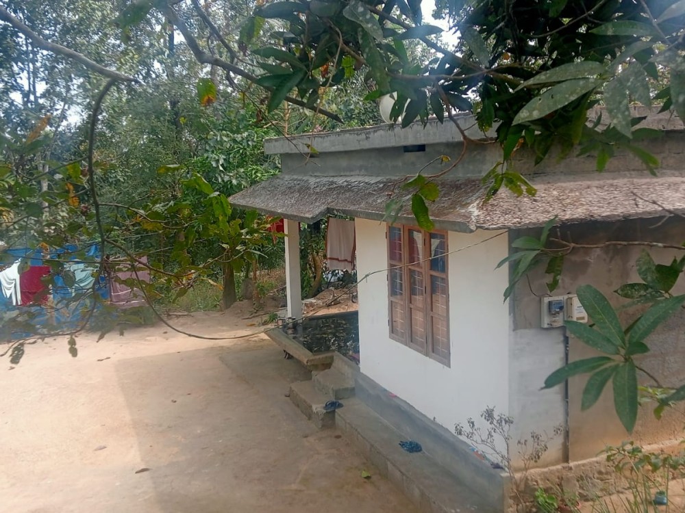House for Sale in Muttil, Wayanad 