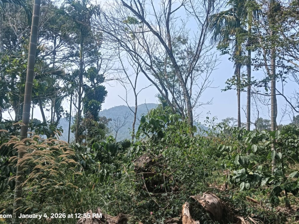Farm Land with Running Units for Sale in Eachome, Wayanad