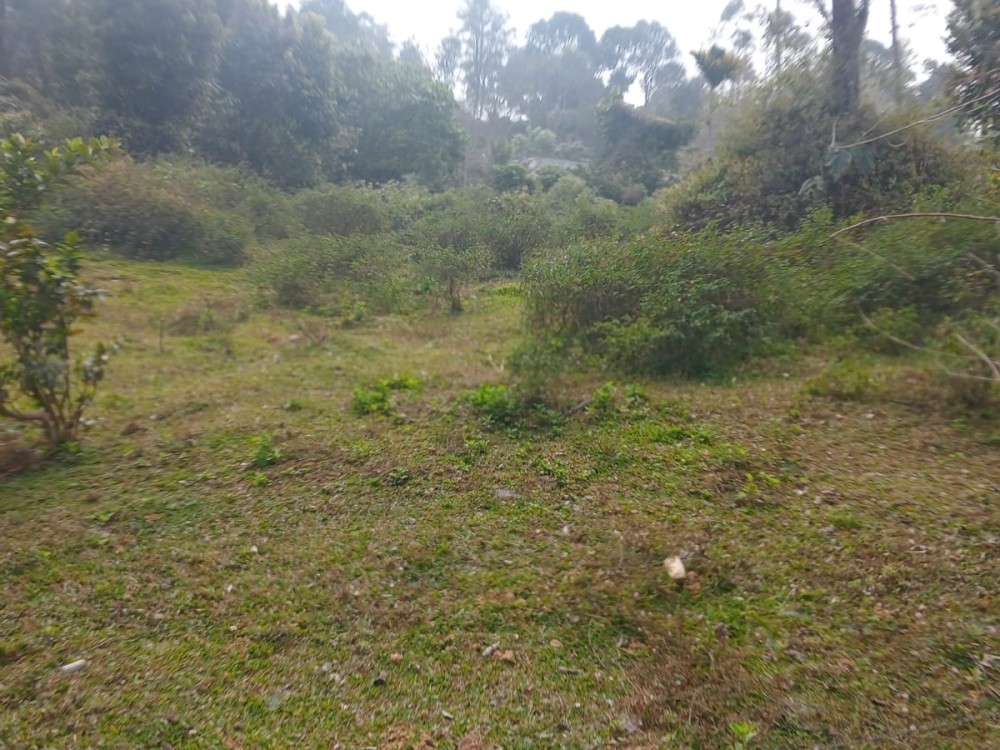 Land for Sale Near  Kalpetta Town, Wayanad 