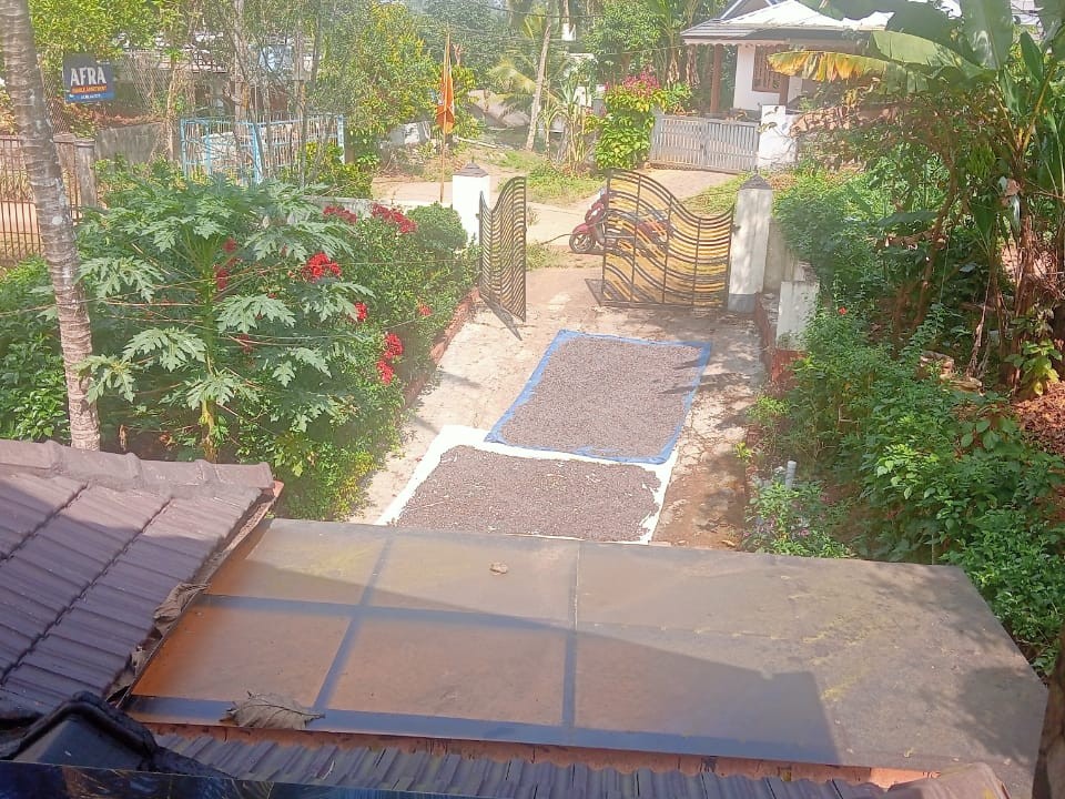 Land with 5 BHK House for Sale in Kalpetta, Wayanad 