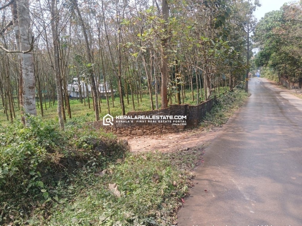 Prime Land for Sale in Puthenkurishu, Ernakulam 
