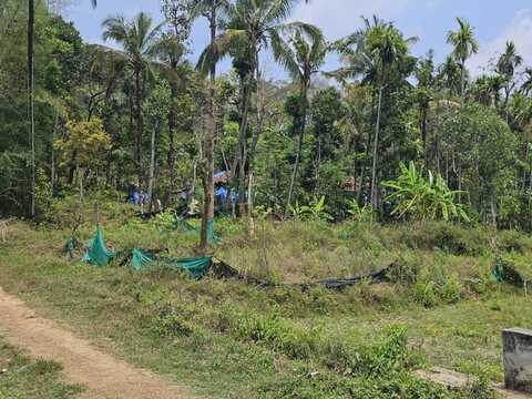 Paddy View Homestay Land for Sale in  Pulpally, Wayanad