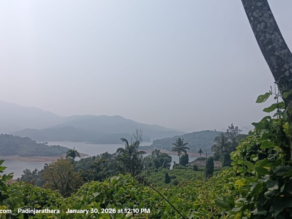 Scenic Banasura Dam View Land for Sale in Padinjarathara, Wayanad