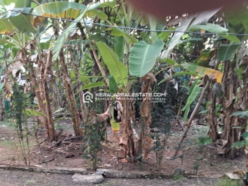 Residential Land for Sale near Thiruvalla Sreevallabha Temple, Pathanamthitta