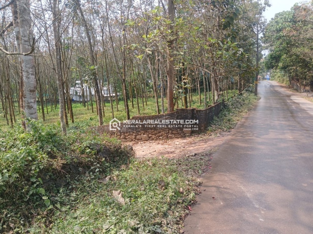 ROAD-FRONTAGE LAND FOR SALE IN PUTHENKURISH, POOTHRIKKA, ERNAKULAM