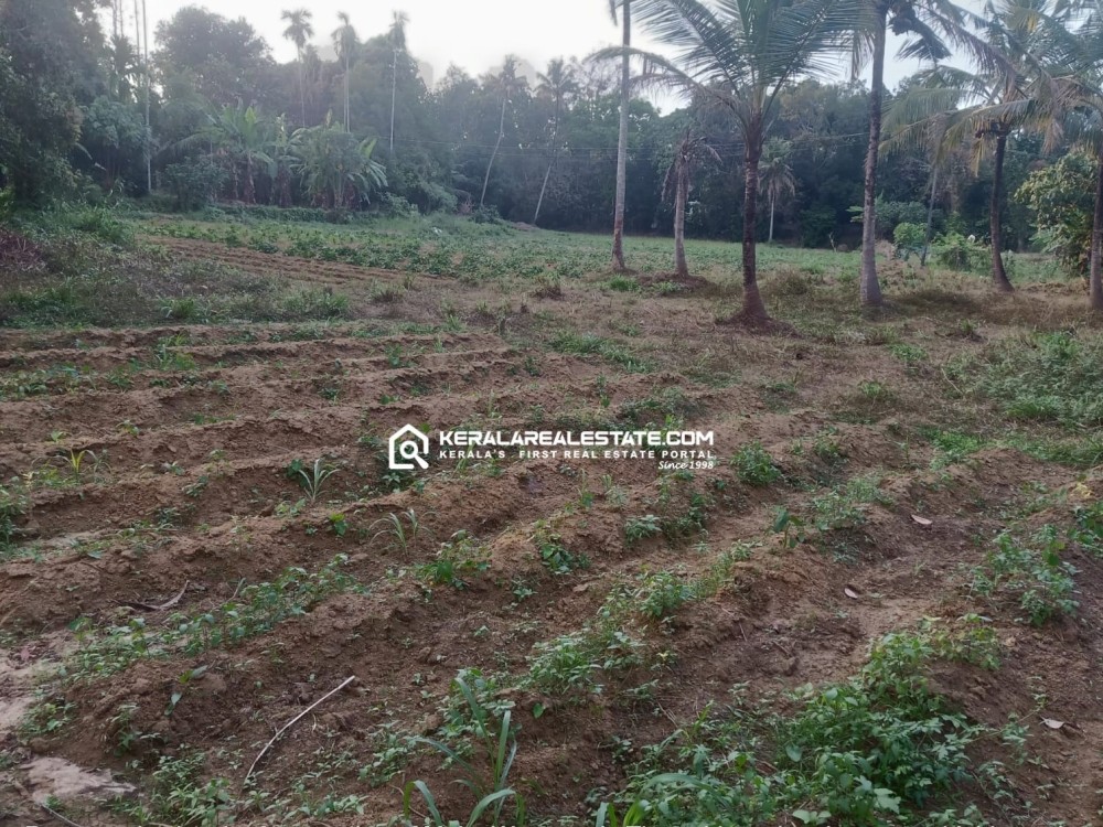 PRIME LAND FOR SALE NEAR ANGAMALY, ERNAKULAM