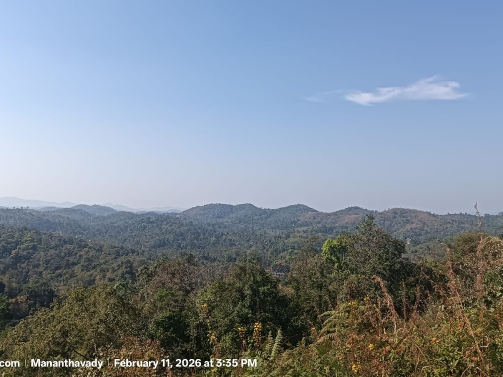 5 Acre Land for Sale in Vellamunda, Wayanad 