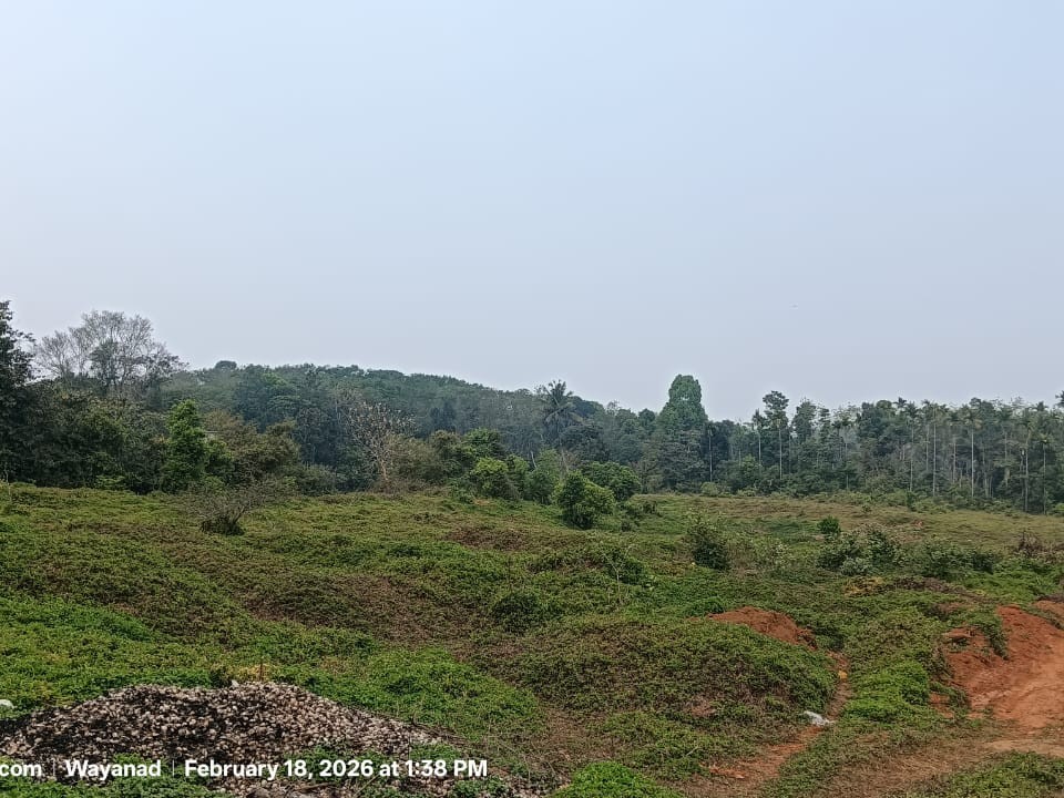  Riverfront Property for Sale in Padinjarathara, Wayanad 