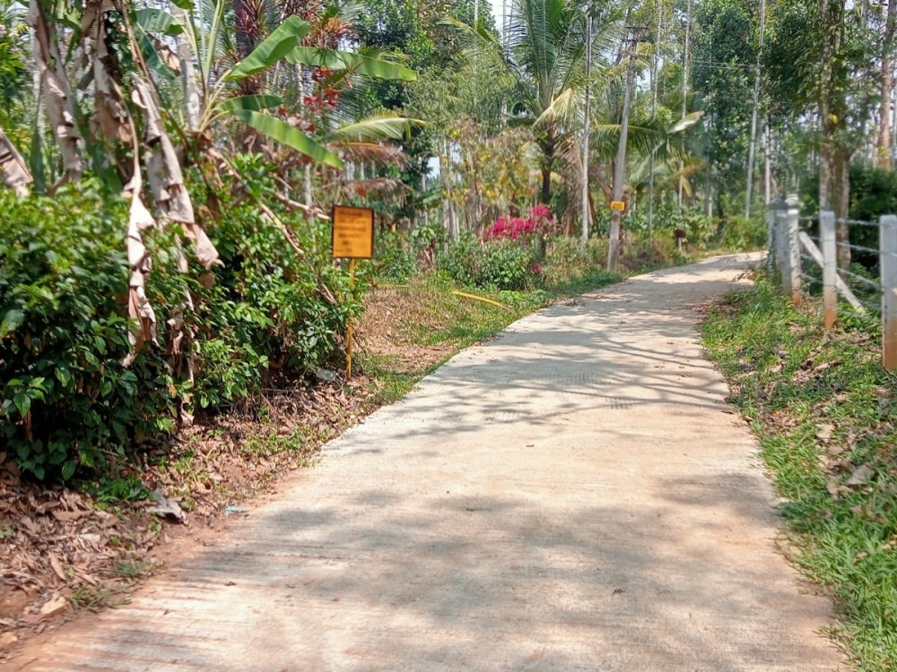40 Cents Land with House for Sale in Meenangadi, Wayanad 