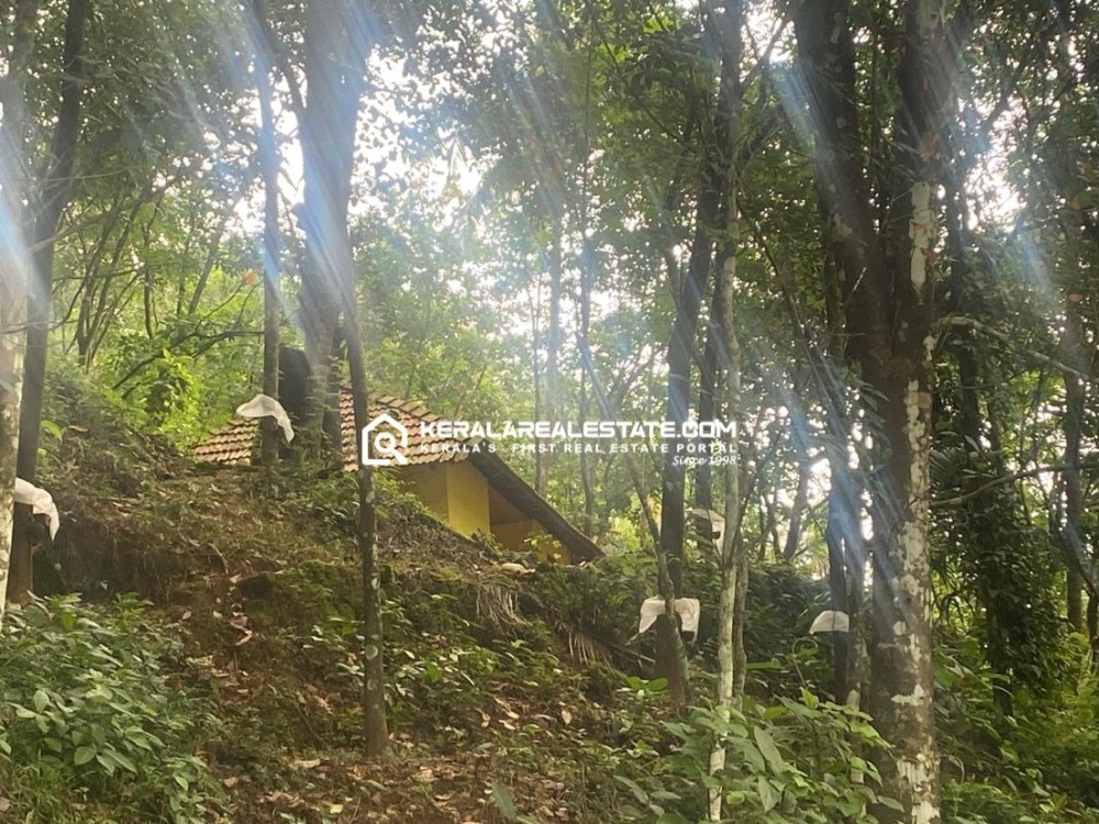  LAND SUITABLE FOR RESORT IN INCHIMALA, THODUPUZHA